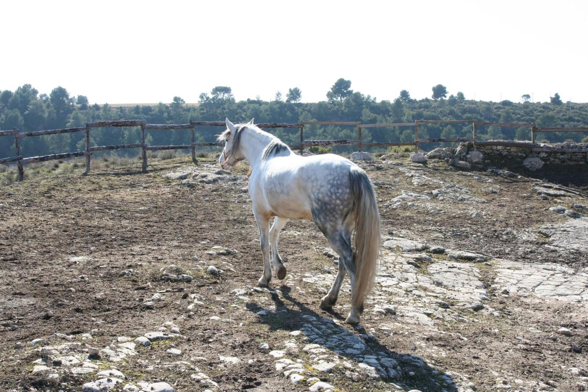 La Posada Del Hidalgo De Alarcón Extérieur photo